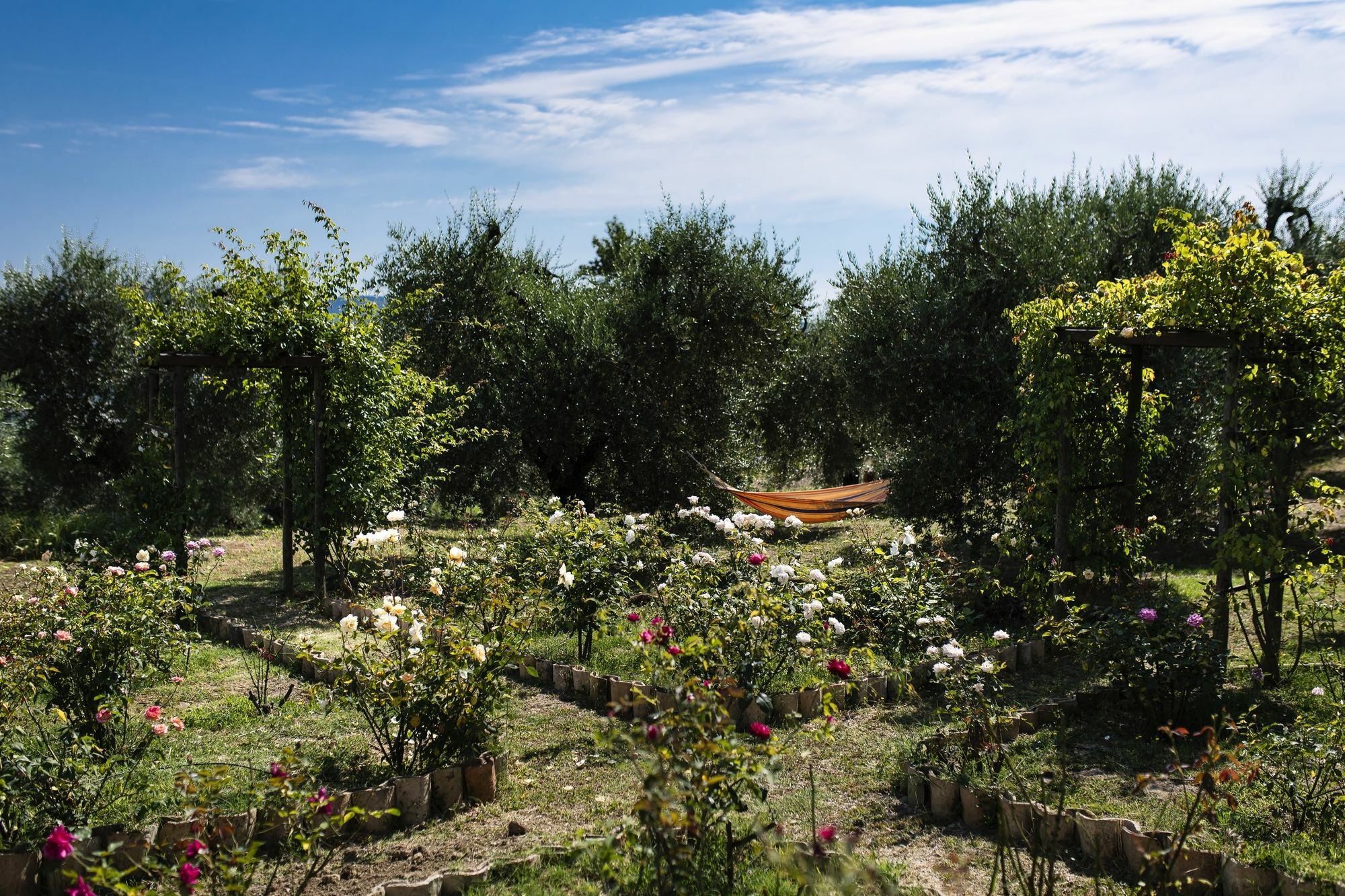Orvieto Aroma Rooms 2 外观 照片